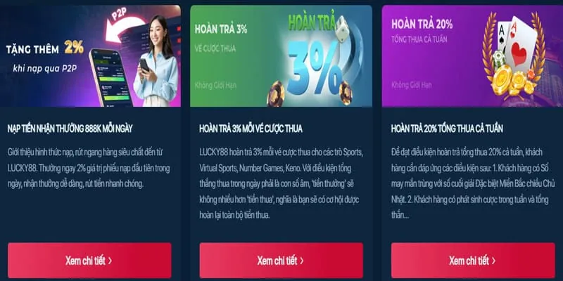 Hỗ trợ marketing chuyên nghiệp từ Suncity